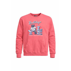 Vintage 90s Yale Bulldogs Men’s Paris Sport Club Crewneck Sweatshirt Pink Sz L